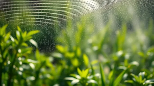 Récolte du brouillard au jardin : une solution réaliste pour votre jardin sec