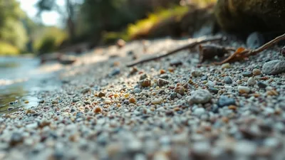 Gestion des sédiments en bord de rivière : techniques durables pour votre jardin en 2026