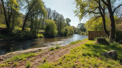 Réparer un sol compacté après travaux sans tout décaper
